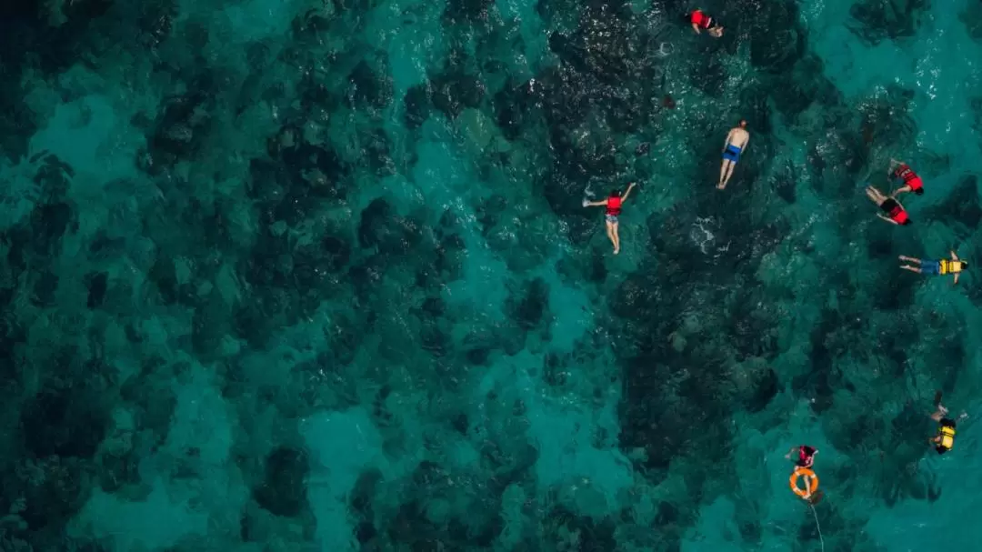 1 Day Snorkeling in Komodo National Park by Dive Komodo