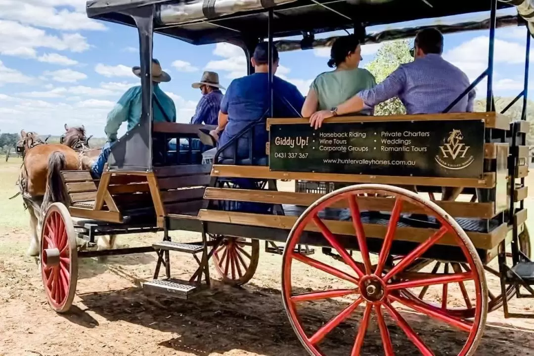 Harvest the Hunter Wine and Produce 3-Hour Tour