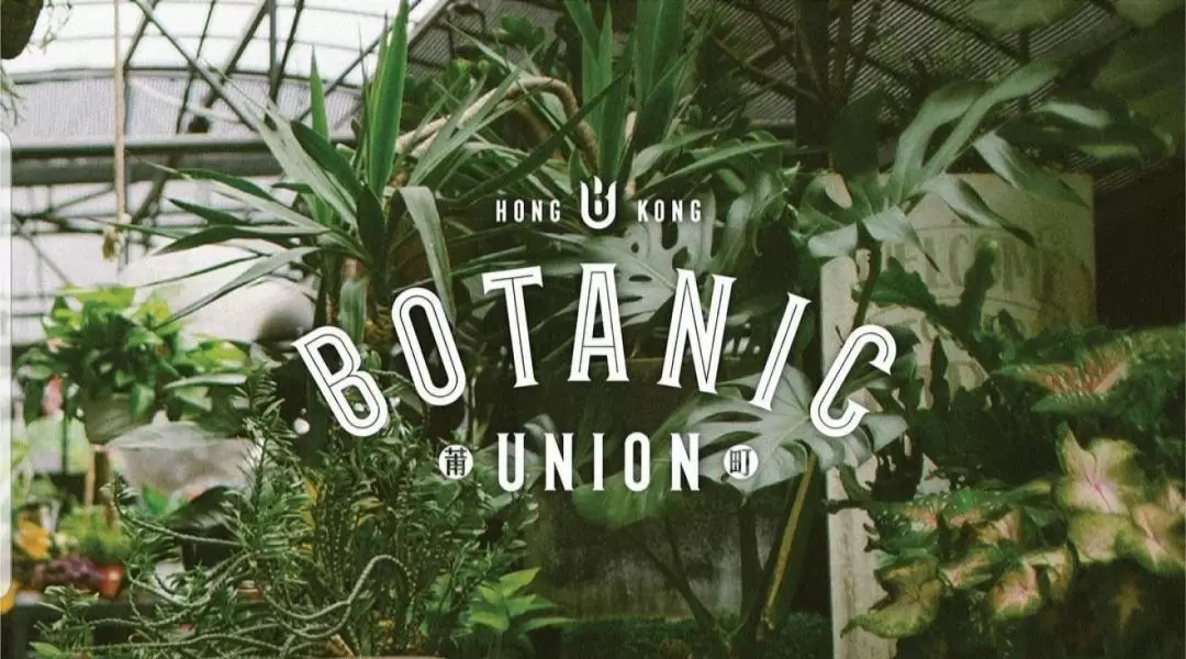 Botanic Union - 多用途場地租用 | 森林系場景 | 專訪 | 拍攝 | 座談會 | 活動場地 | 大埔
