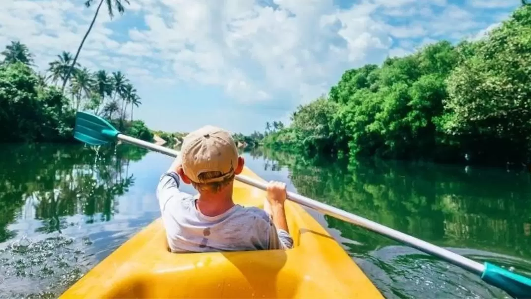 Kayak Rental in Bentota