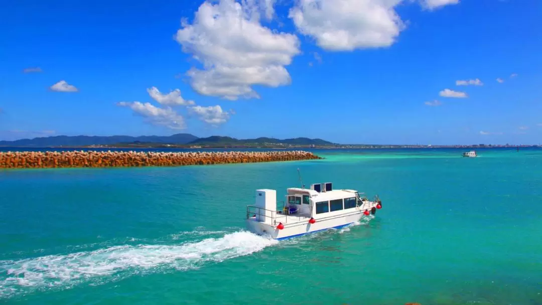 Taketomi Island Water Buffalo Cart Trip with Optional Glass Boat Trip