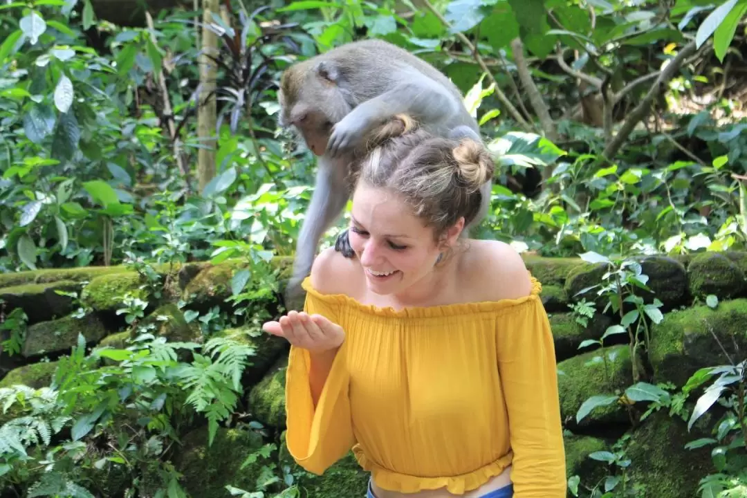 Central Bali Full Day Tour: Tegalalang Rice Field, Sacred Monkey Forest, Elephant Cave