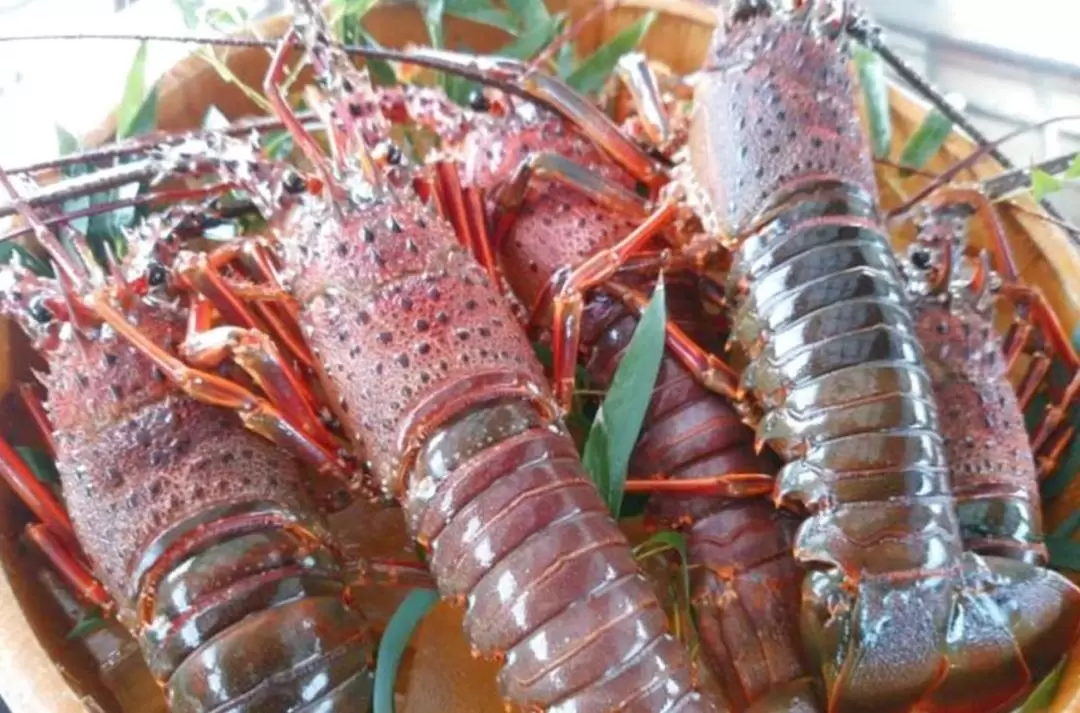 鳥羽船屋海鮮用餐體驗