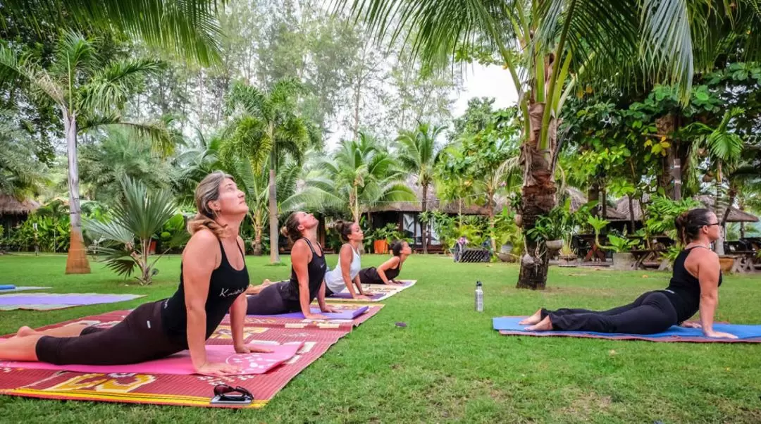 Yoga Class in Koh Lipe