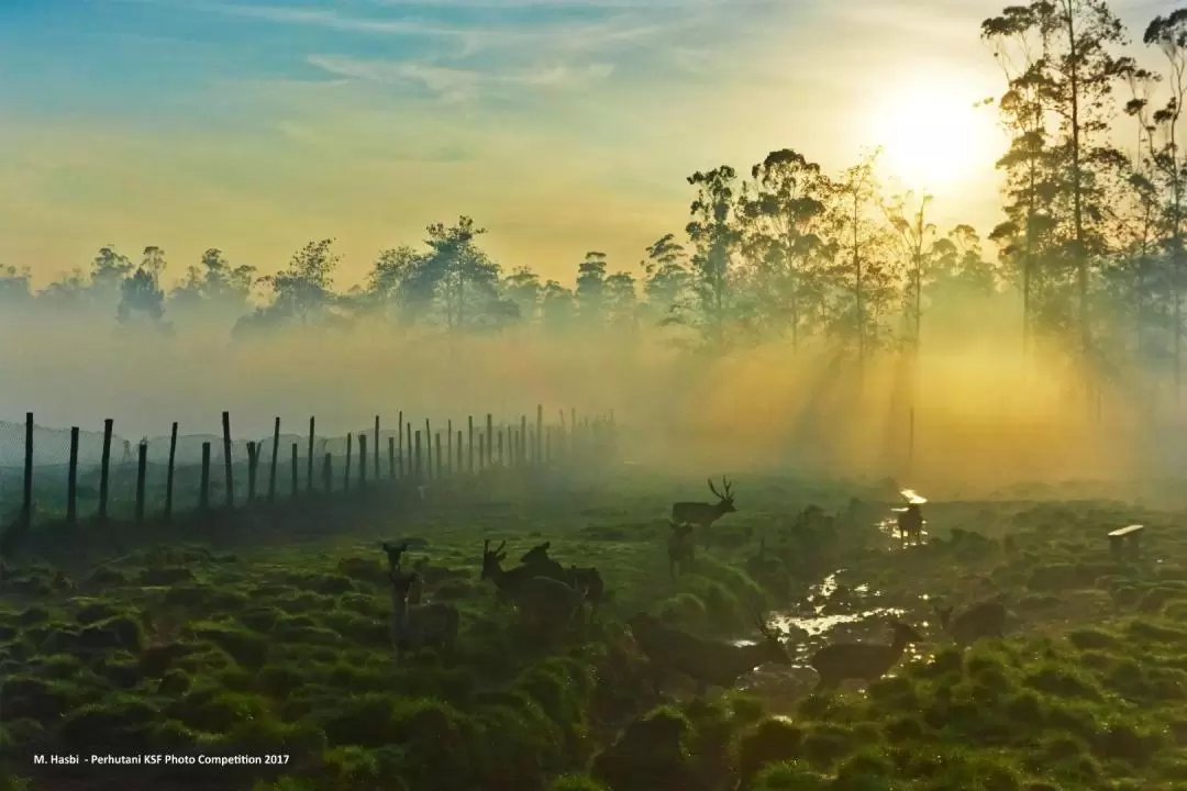 Kampung Cai Ranca Upas Ticket in Bandung