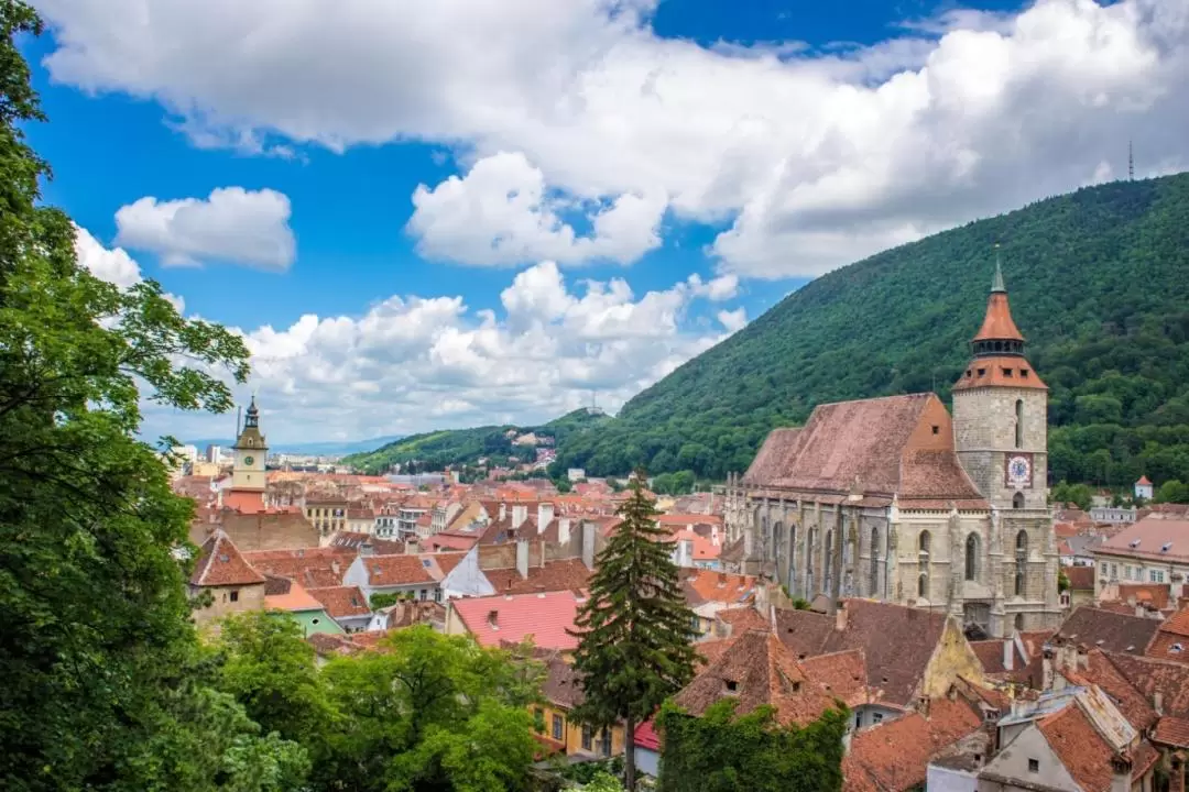 Dracula's Castle, Brasov, and Peles Castle Day Tour from Bucharest