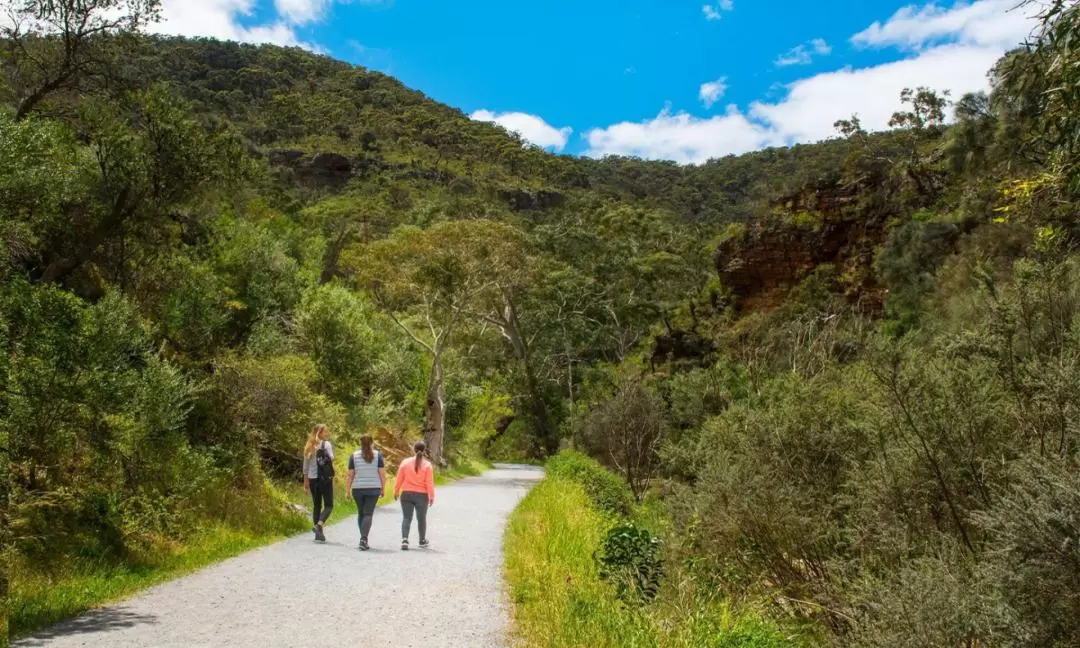 Morialta Wilderness and Wildlife Hike in Adelaide