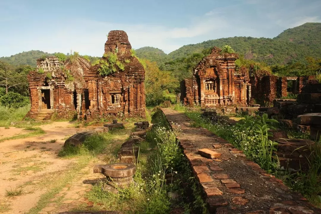 My Son Sanctuary Half Day Tour from Da Nang