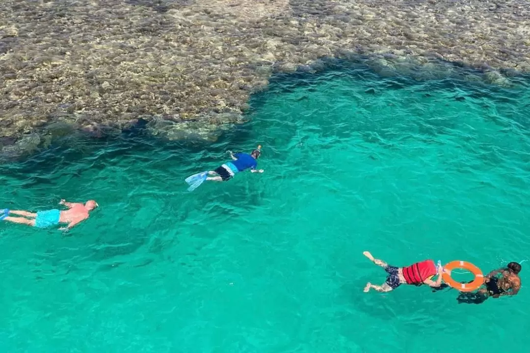 Classic Snorkeling Cruise with Buffet in Egypt