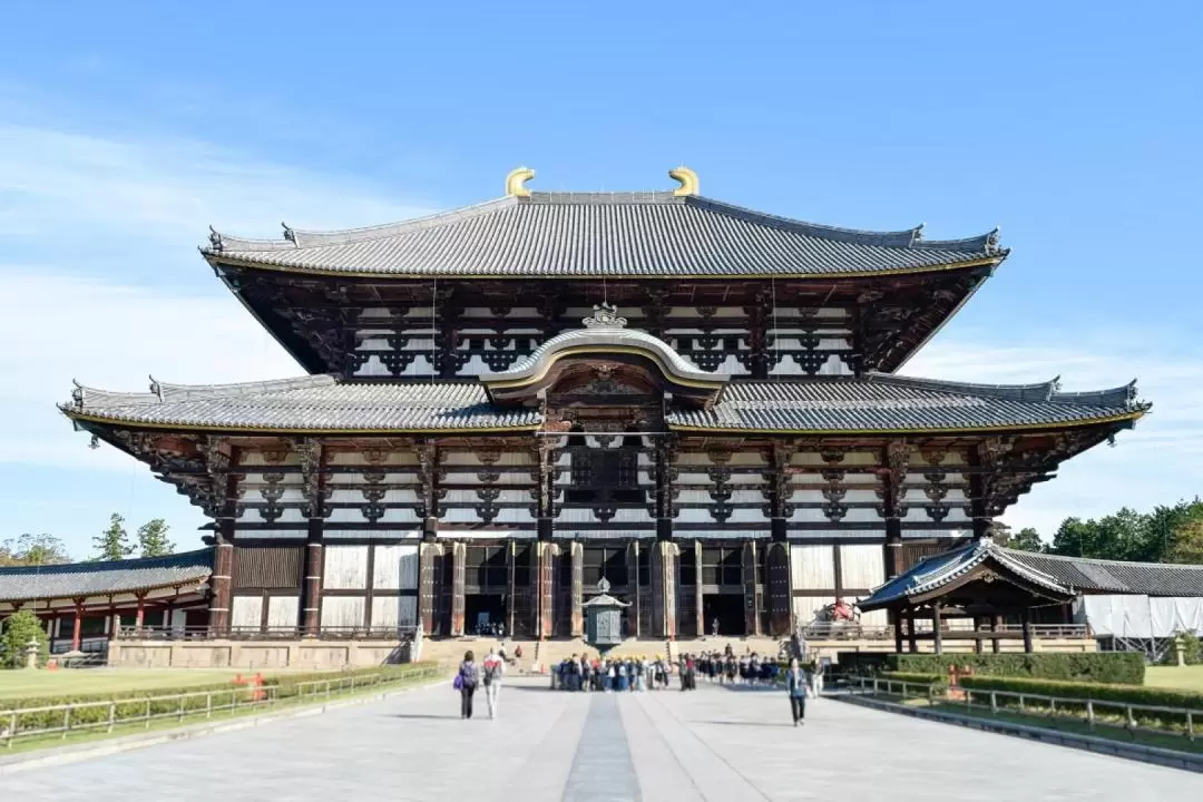 東大寺 & 奈良公園 & 春日大社半日遊（大阪出發）