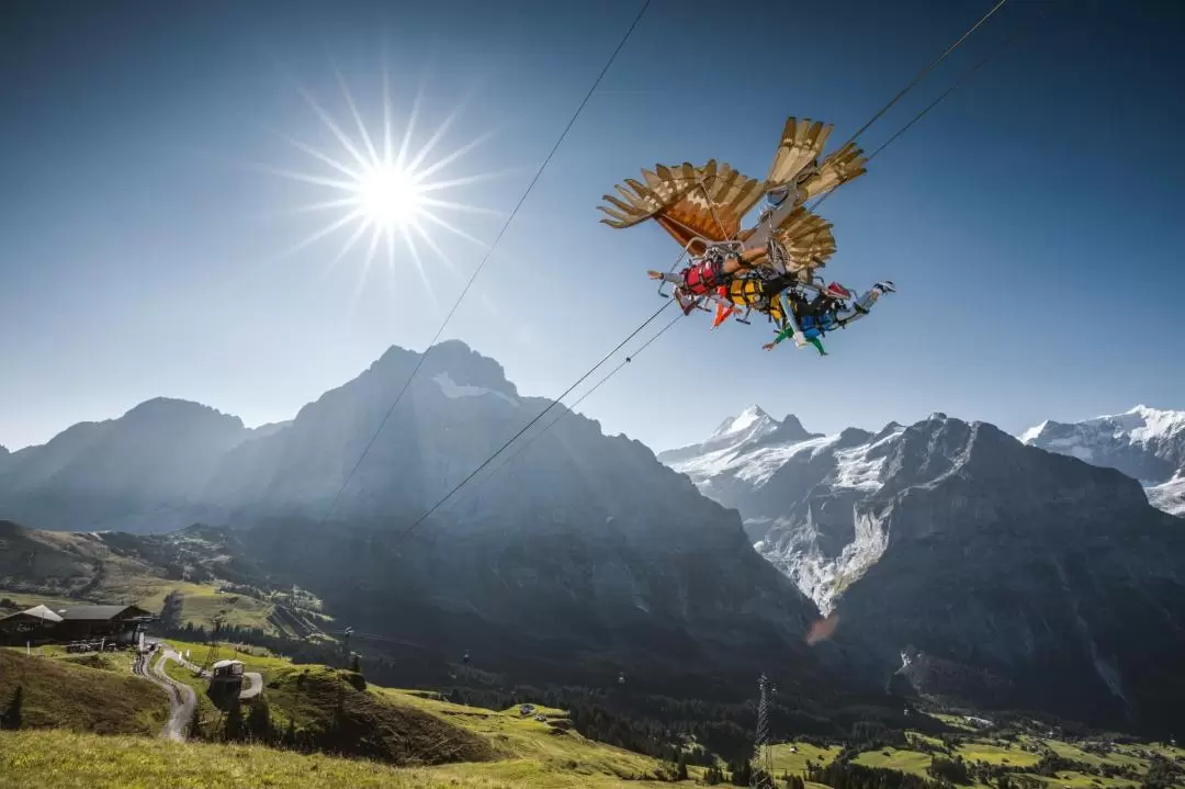 Grindelwald Mount First - Top of Adventure Cable Car Ticket 