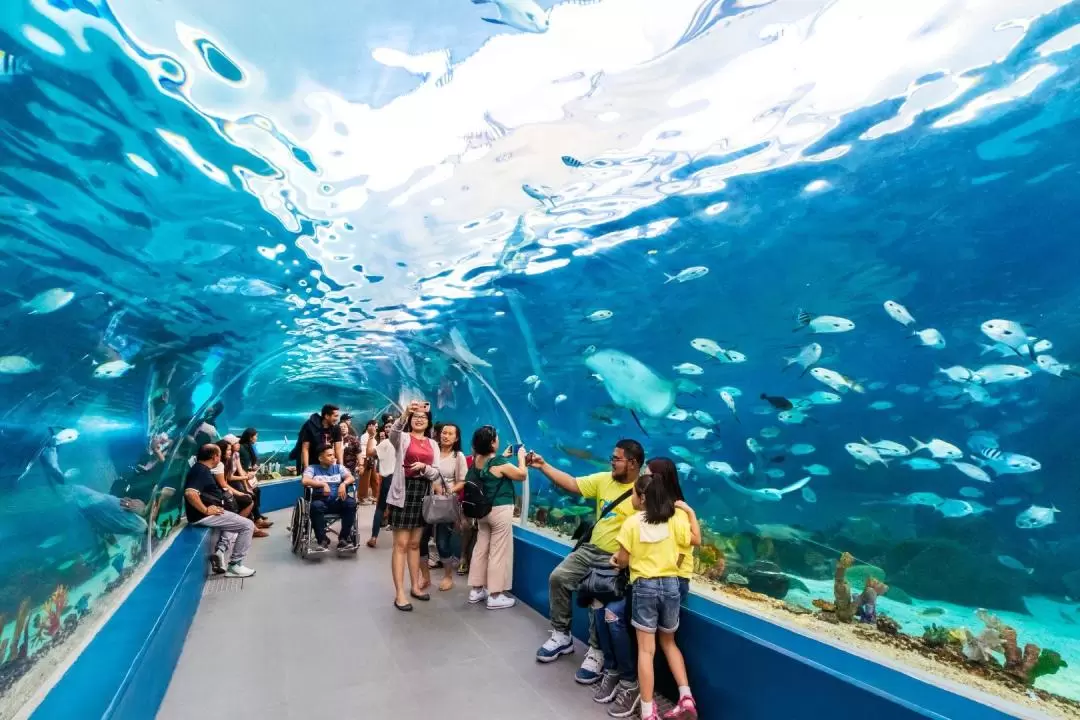 Cebu Ocean Park Ticket