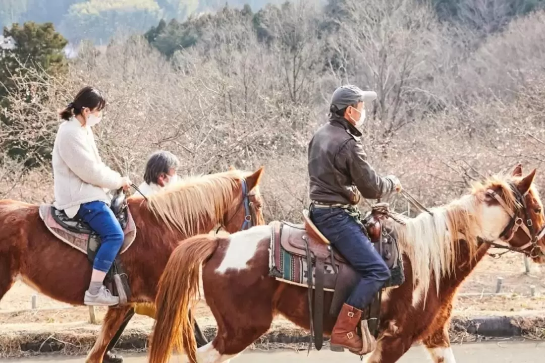 茨城｜筑波山騎馬體驗