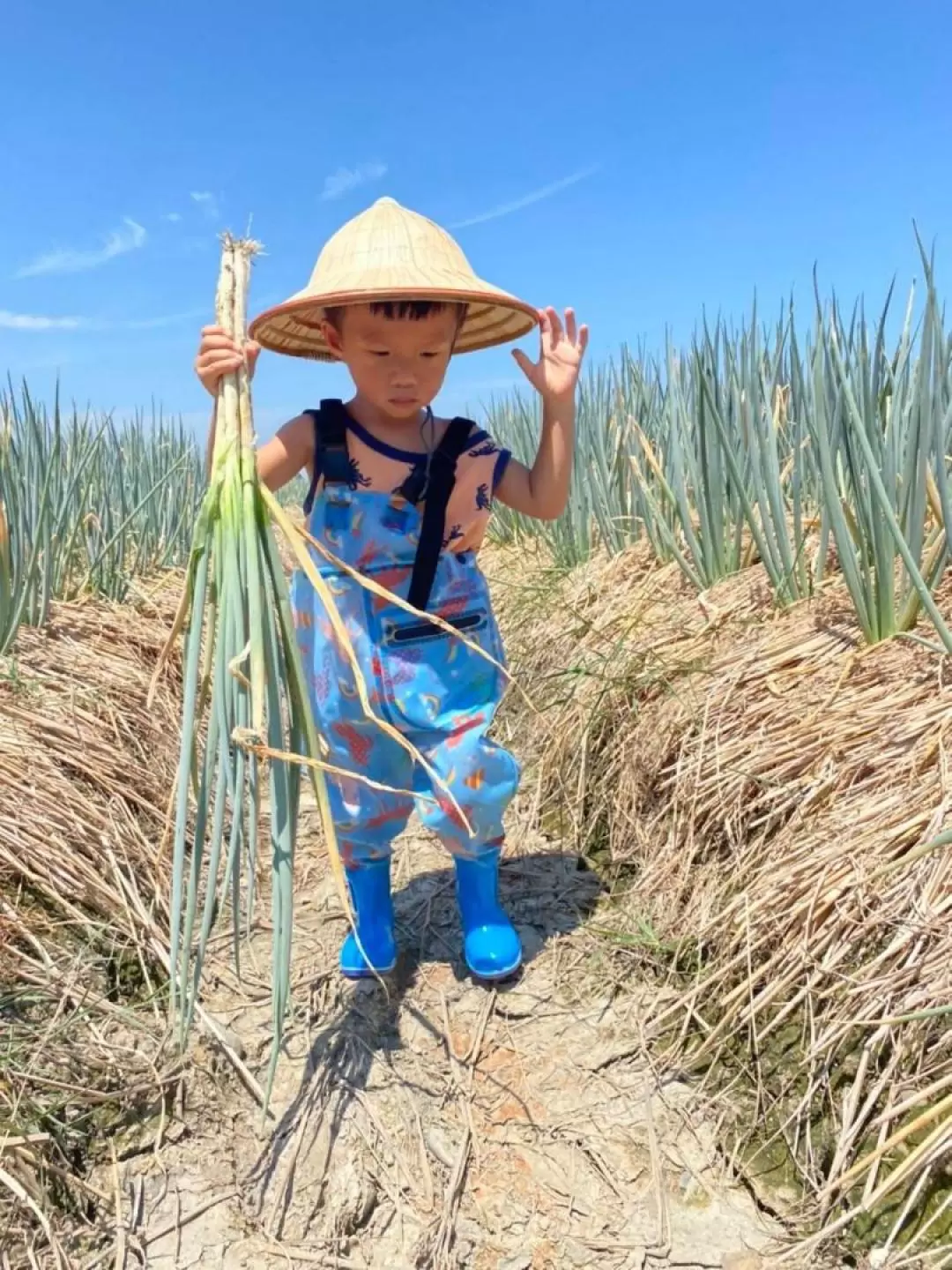 Scallion Bread DIY Experience in Yilan