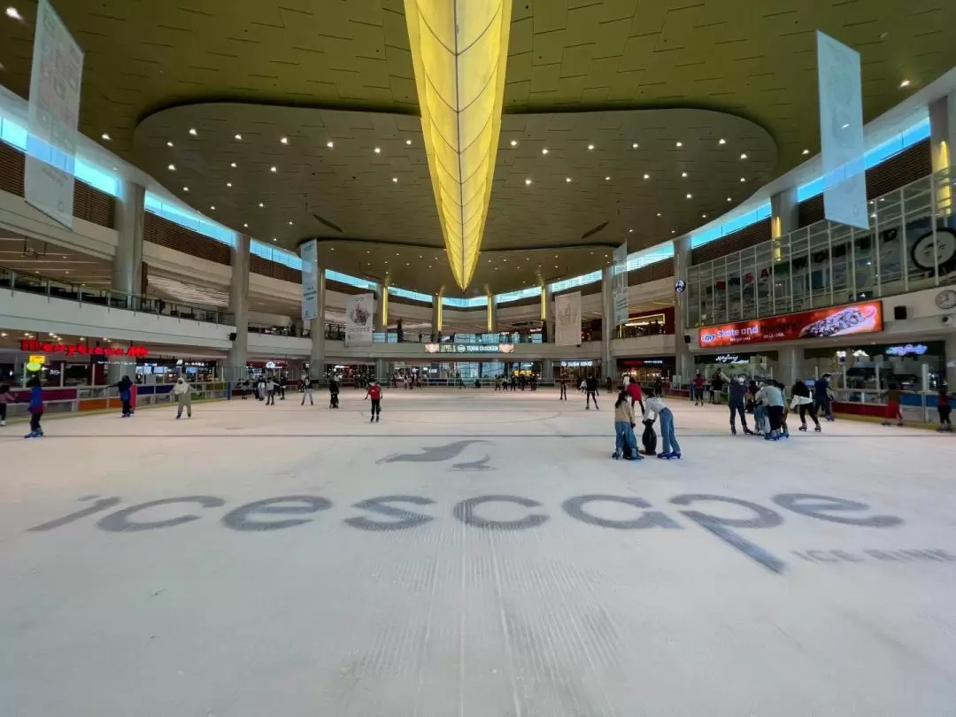 Ice Skating Experience at IOI City Mall in Putrajaya