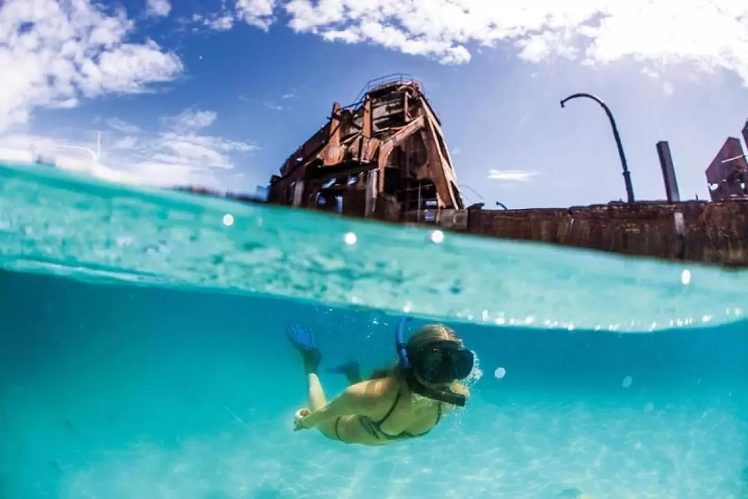 Scuba Diving Experience in Moreton Island