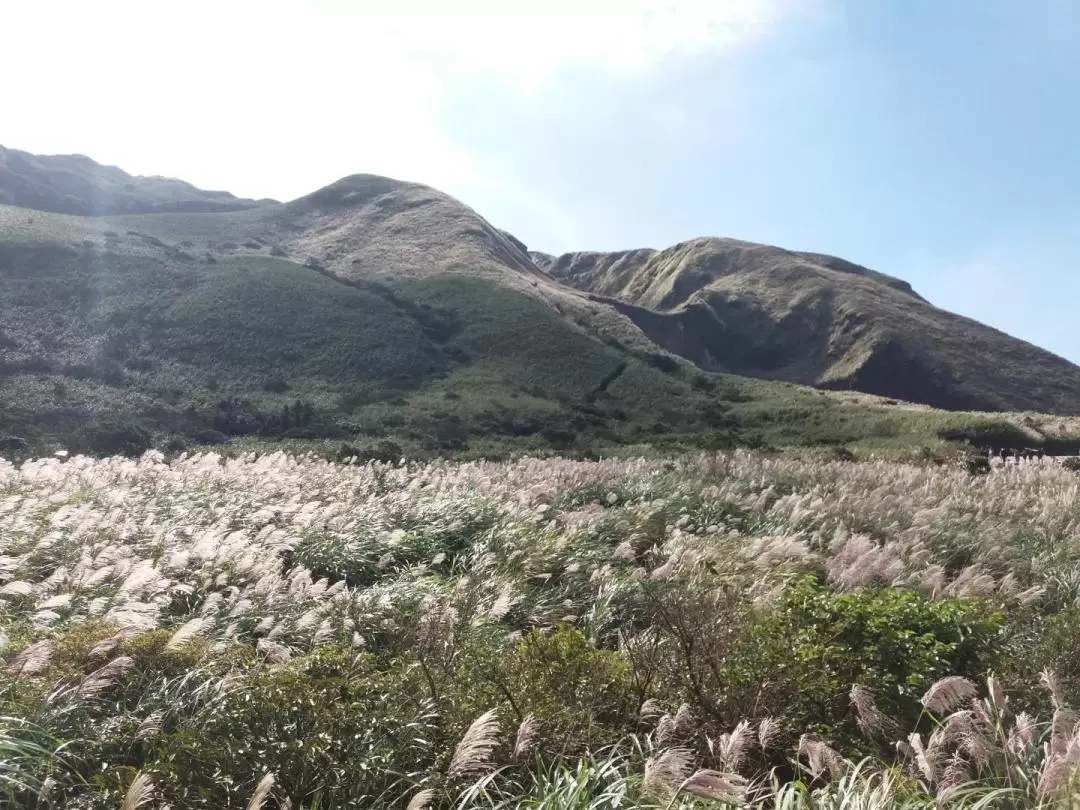 北投・陽明山 日帰りツアー（台北発） 