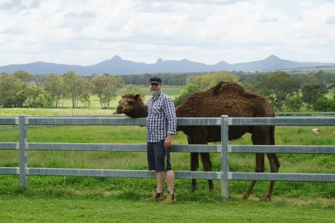 Scenic Rim Farm, Food & Wine Day Tour in Gold Coast