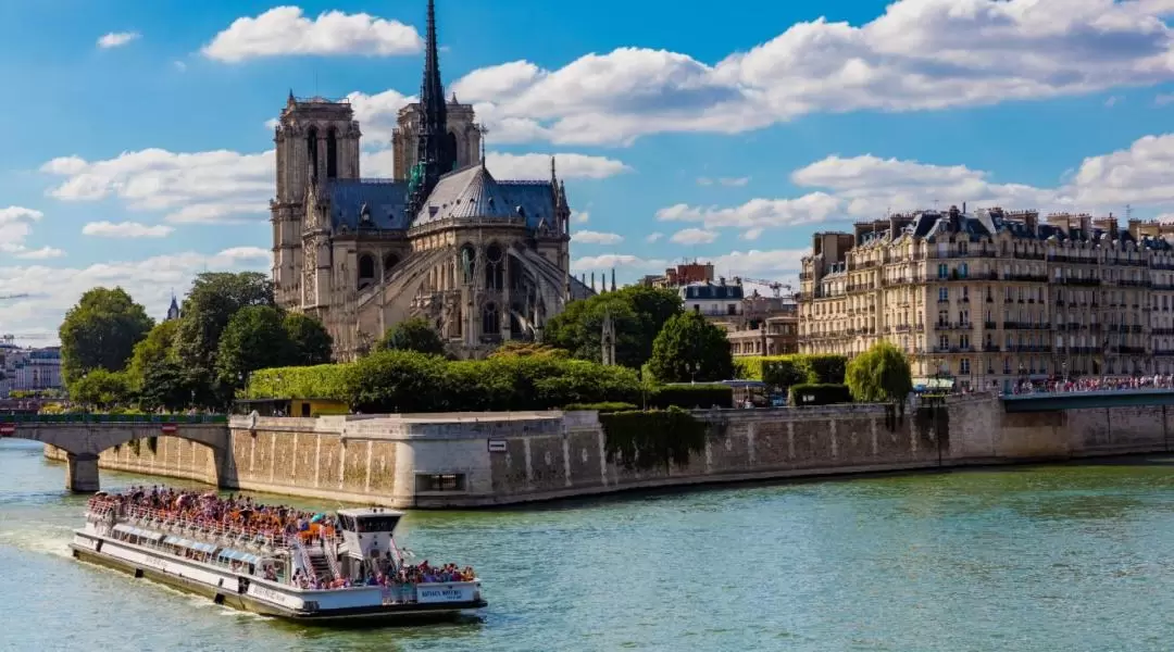 Seine River Sightseeing Cruise and Combo Experience in Paris