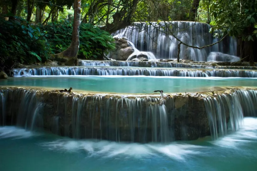 Alms Giving Experience & Kuang Si Waterfall