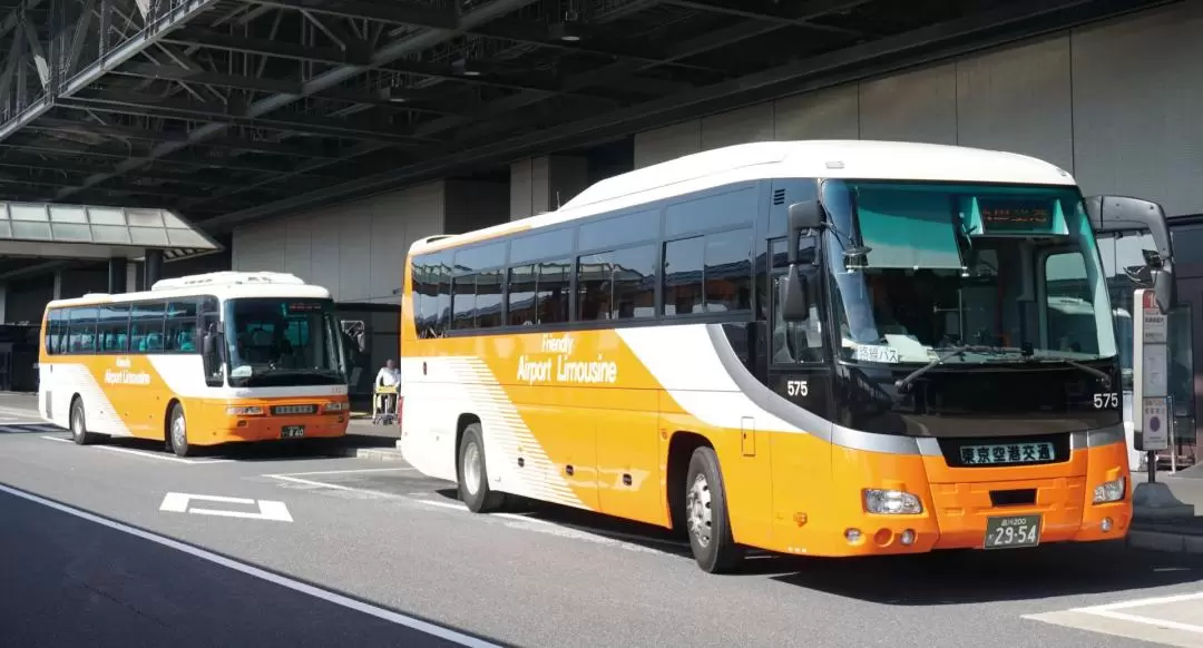 成田機場至東京豪華巴士