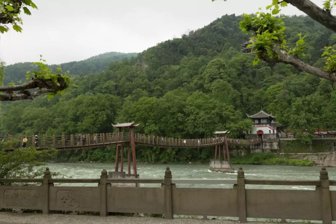  Dujiangyan Panda Base and Irrigation System Tour from Chengdu