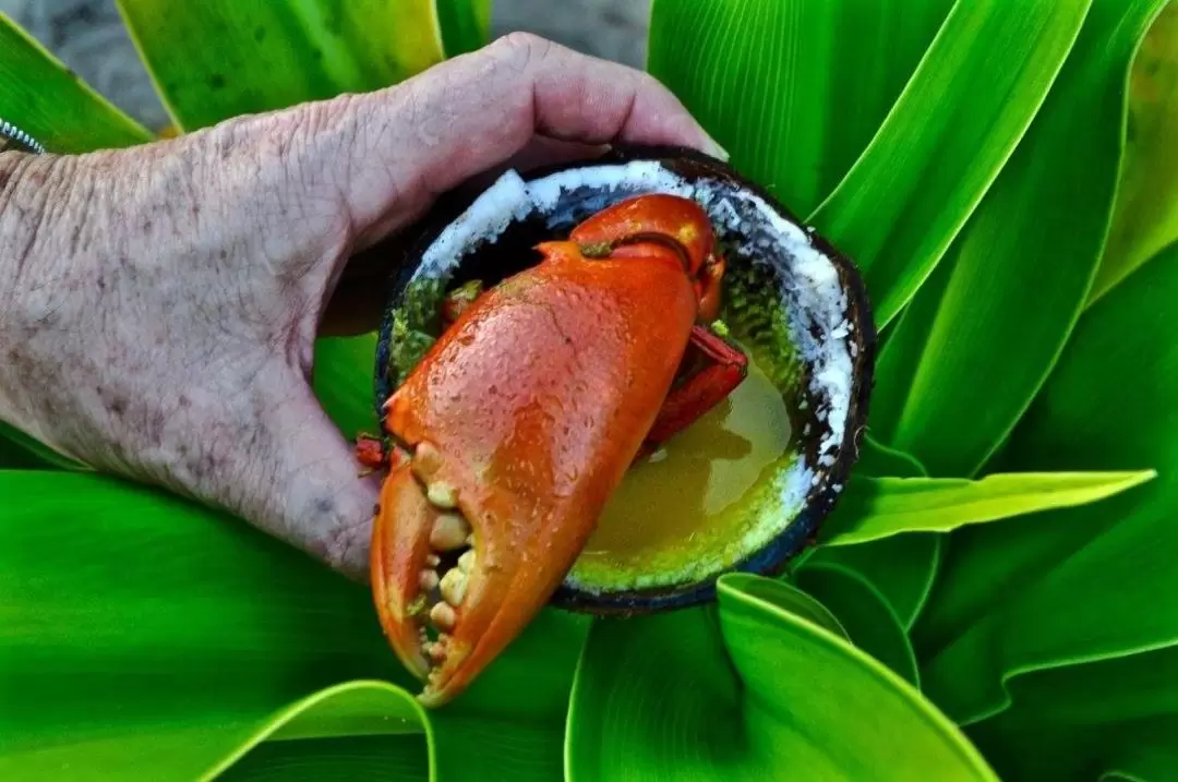 魯賓遜克魯索島村落觀光＆抓椰子蟹一日遊