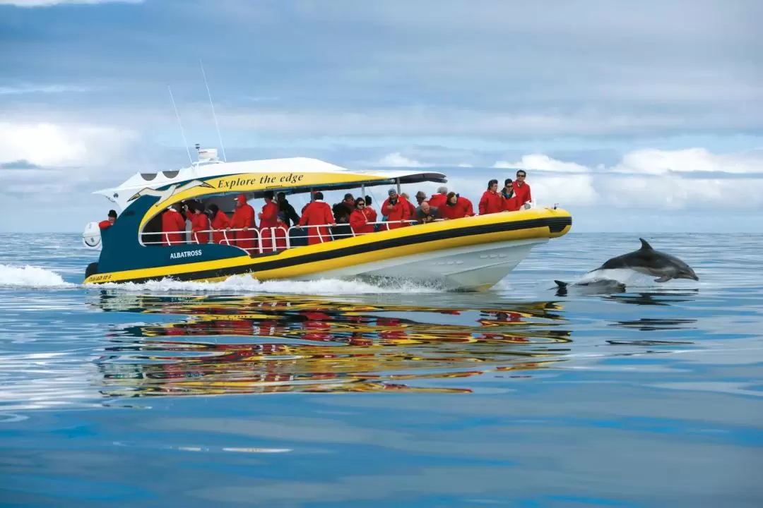 Tasman Island Cruises Full Day Tour from Hobart