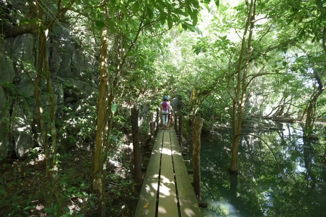 El Nido Via Ferrata Ticket (Canopy Walk Viewdeck and Dreamcatcher)