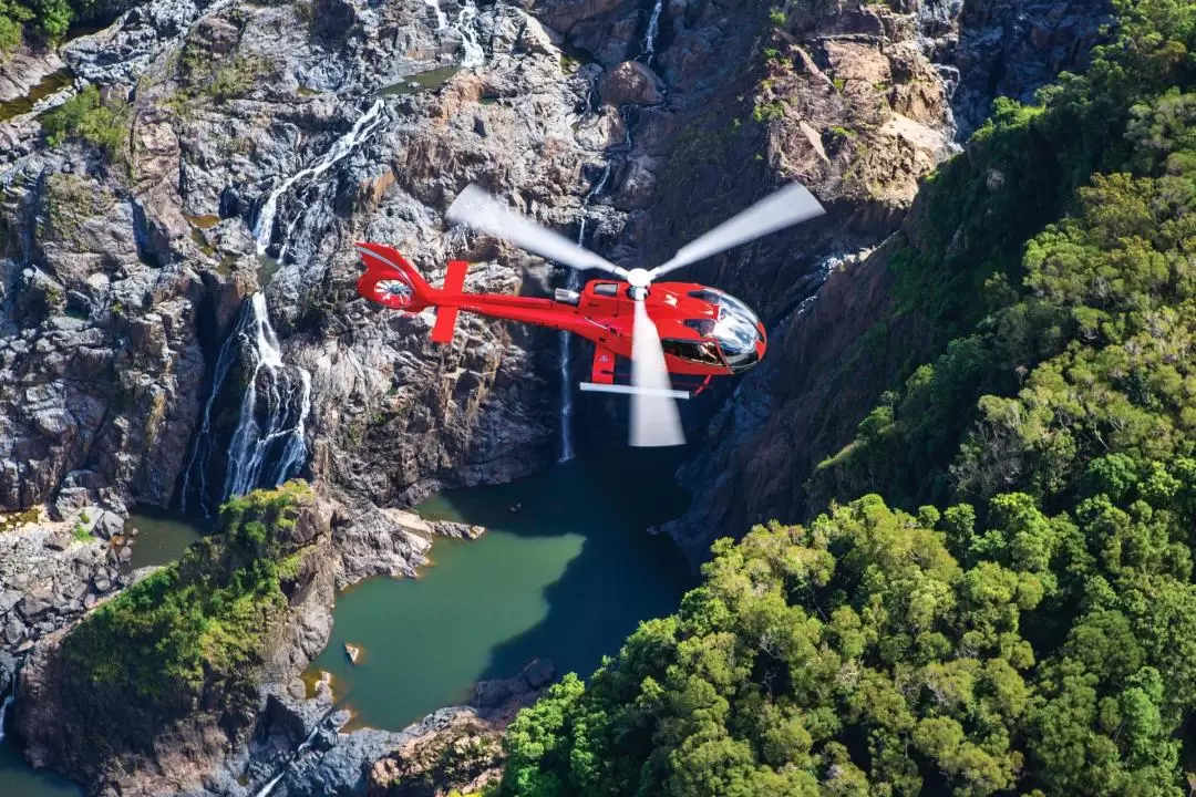 Reef and Rainforest Helicopter Flight from Cairns or Port Douglas