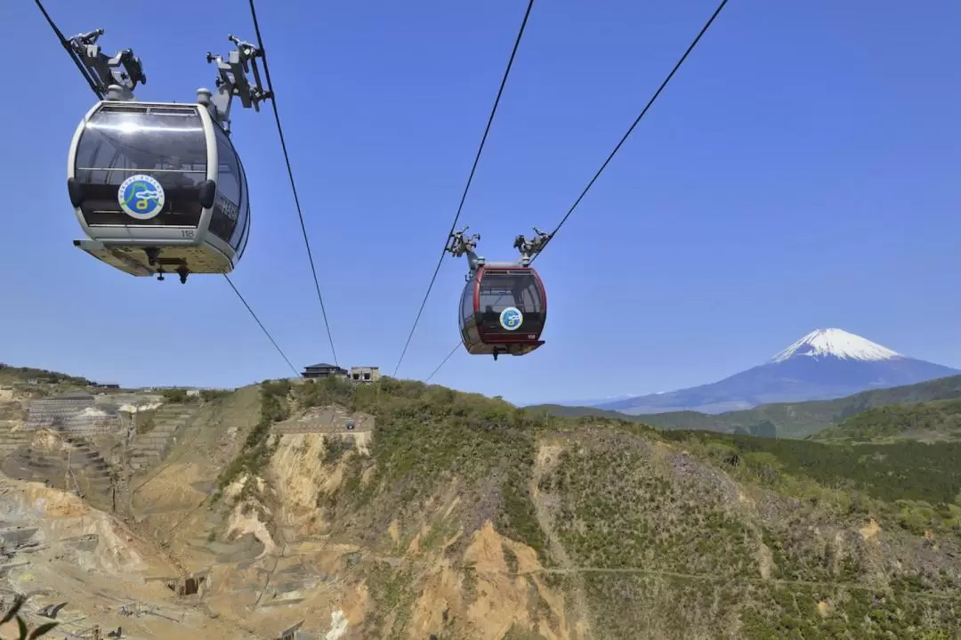 Hakone one-day tour by chartered car (from Tokyo)