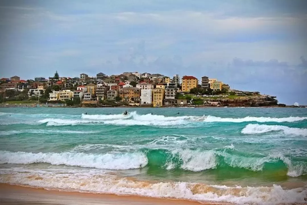 Sydney City Day Tour with Chinese Speaking Guide