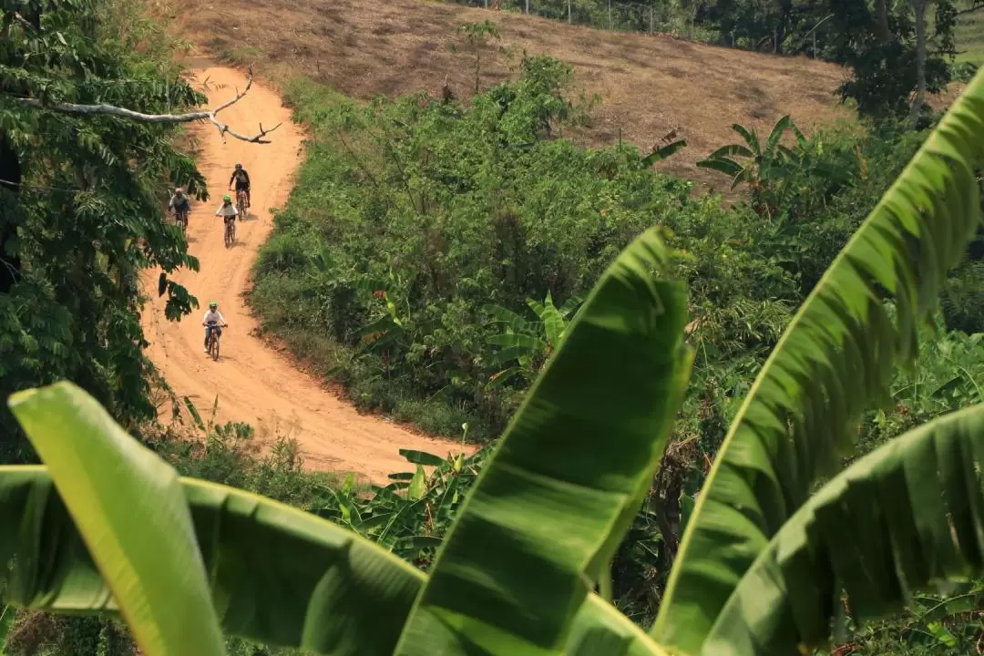 Chiang Mai Biking Day Tour by Trailhead