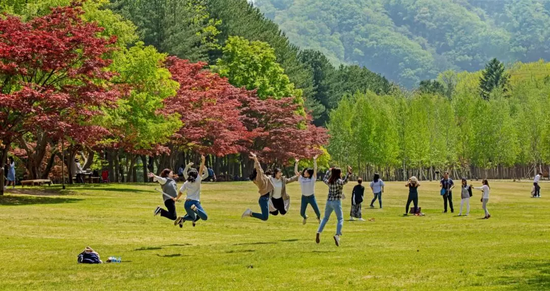 Nami Island - Petite France Village & Italian Village Van