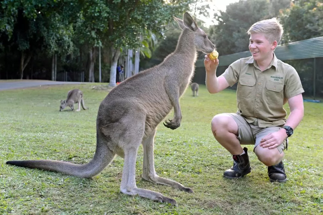 Australia Zoo & Wildlife Hospital Ticket 