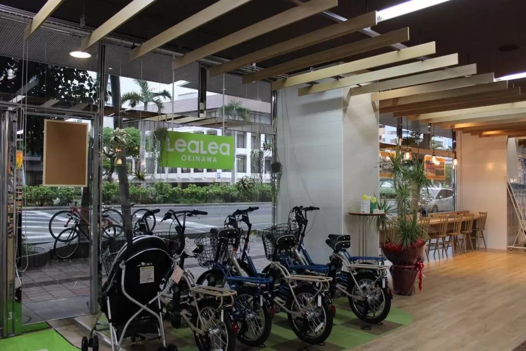 Electric-Assisted Bike Rental in Okinawa