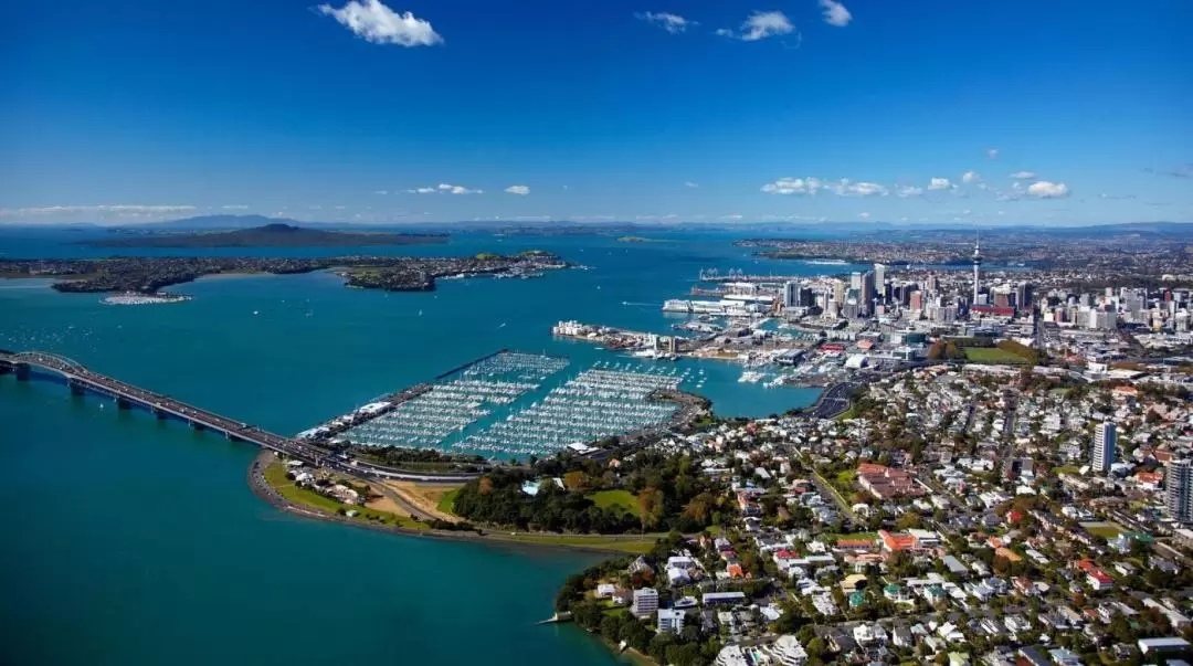 3-Hour Auckland City Tour Revealed