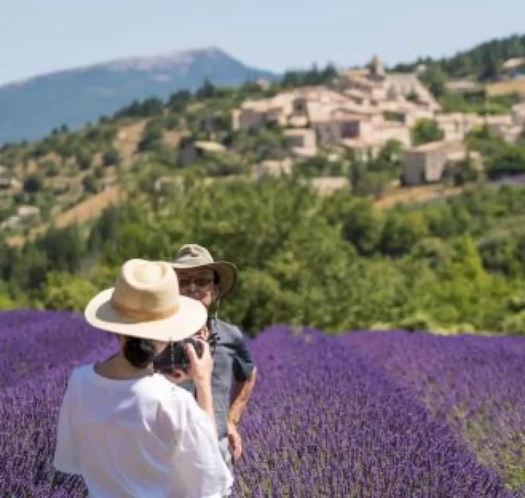 Lavender Full Day Tour from Avignon