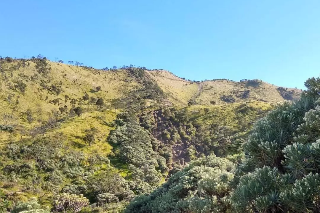 スンビン山orシンドロ山 ハイキング体験（ジョグジャカルタ発）