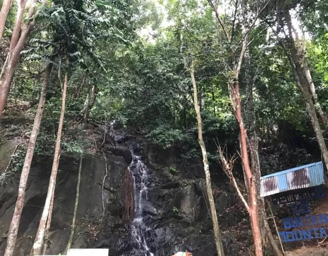 民丹島登山健行大挑戰（含午餐）