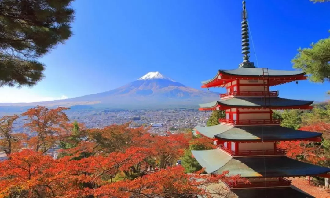 富士山＆五重塔＆相模湖燈光秀＆景觀纜車一日遊