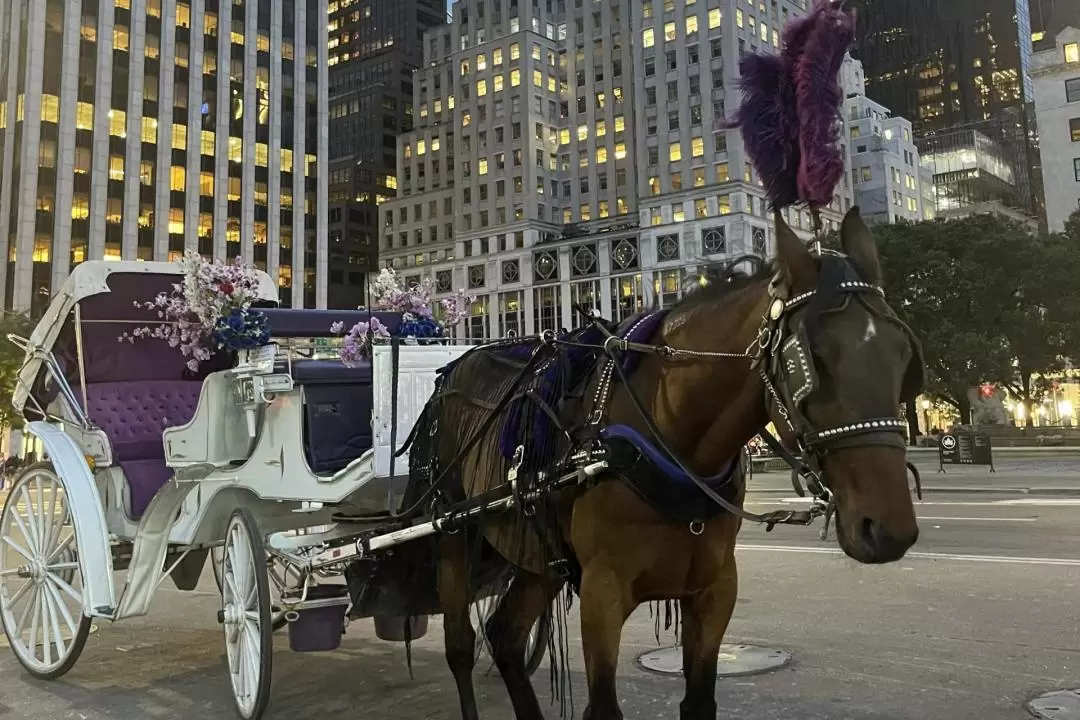 Central Park, Rockefeller Center, and Times Square Carriage Ride