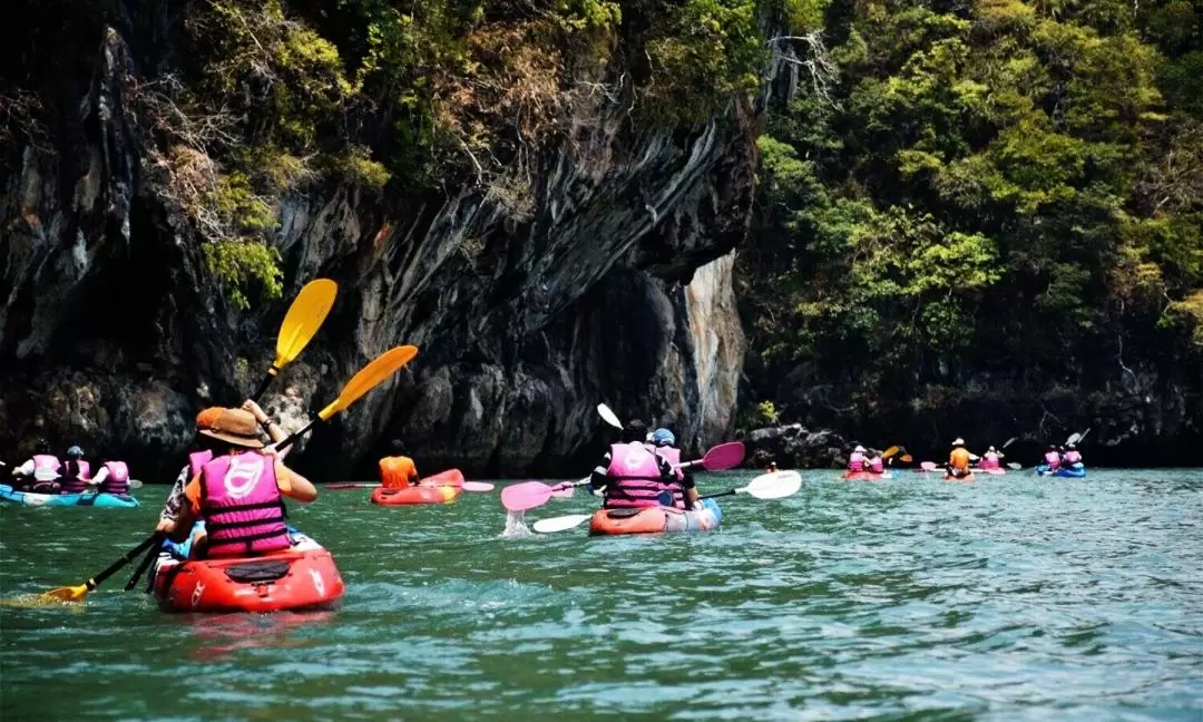 Krabi Mangrove Kayak Tour