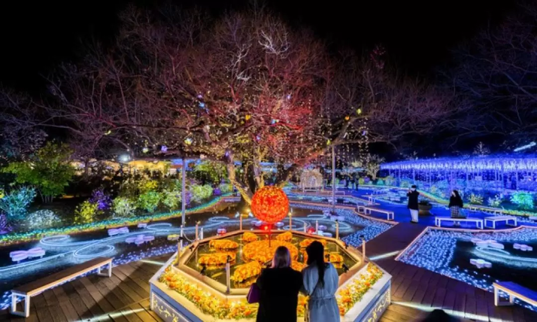 Nikko Toshogu Shrine & Ashikaga Flower Park Illumination Day Tour