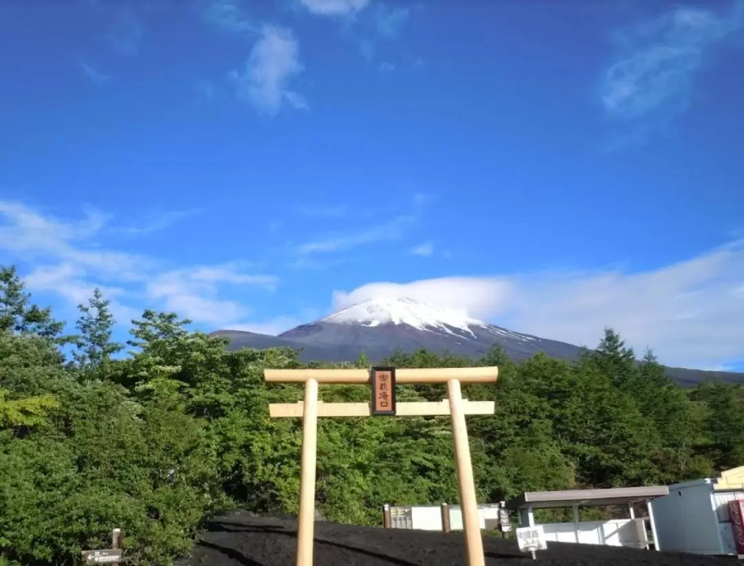 Mt. Fuji and Hakone Pirate Ship One Day Tour from Tokyo