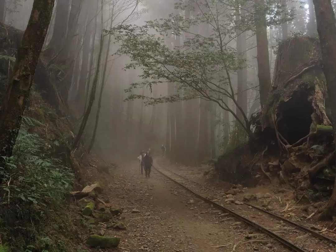 南投｜八通關古道＆特富野古道登山2天1夜體驗