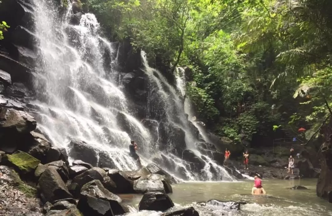 Eastern Bali's Best Waterfalls Private Day Tour in Bali