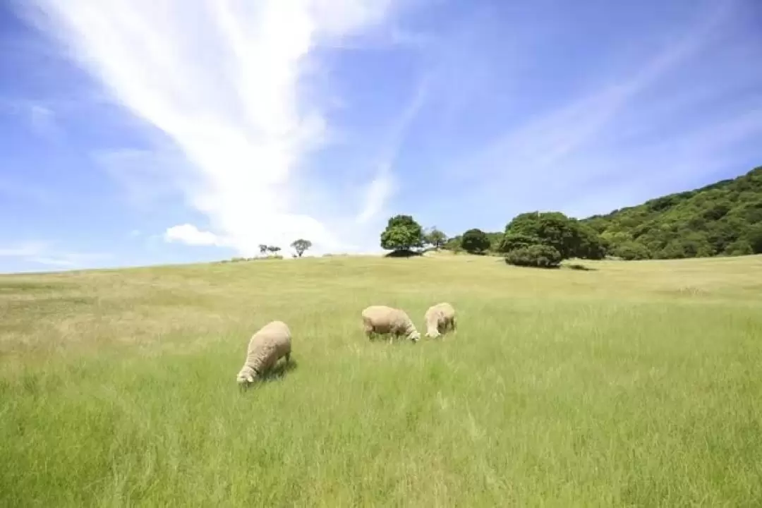 Awaji Farm Park England Hill Admission Ticket in Hyogo