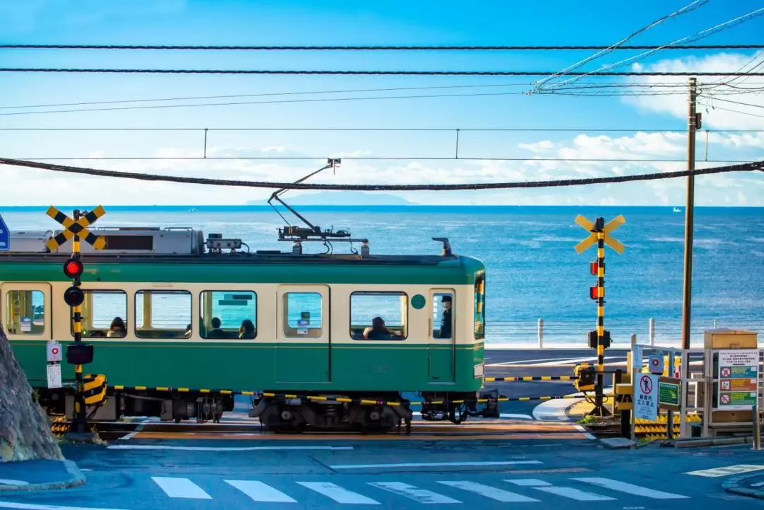 Kamakura & Shonan Real-life Anime Locations Half Day Tour from Tokyo