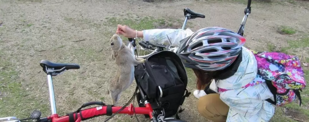 Rabbit Island and Cycling Experience in Hiroshima